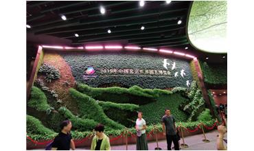 2019北京世園會，我們來啦